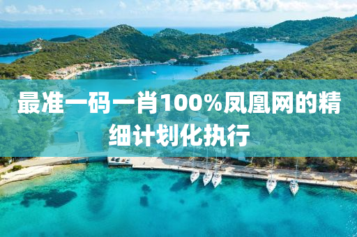 最(zui)準(zhun)一(yi)碼(ma)一肖100%鳳凰(huang)網的(de)精(jing)細計劃化執行(xing)