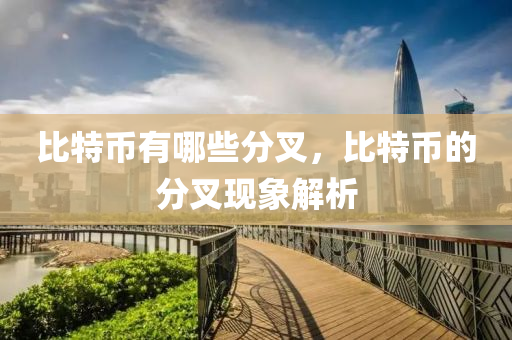 比特(te)幣(bi)有哪些分(fen)叉(cha)，比特幣(bi)的分叉(cha)現象(xiang)解析(xi)