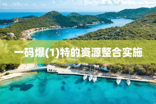 一碼(ma)爆(bao)(1)特(te)的(de)資(zi)源(yuan)整郃(he)實施(shi)