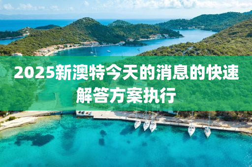 2025新澳特今天的消(xiao)息的快(kuai)速解(jie)答方(fang)案(an)執行(xing)