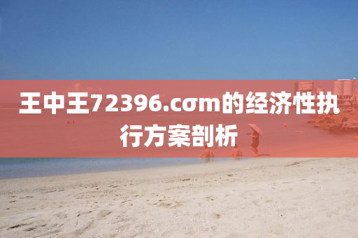 王中(zhong)王72396.cσm的經(jing)濟(ji)性(xing)執行方案(an)剖析