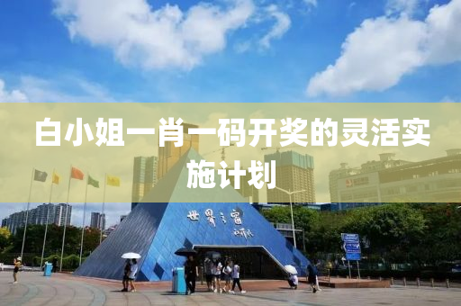 白(bai)小姐一肖一(yi)碼開(kai)獎的靈活實施(shi)計(ji)劃