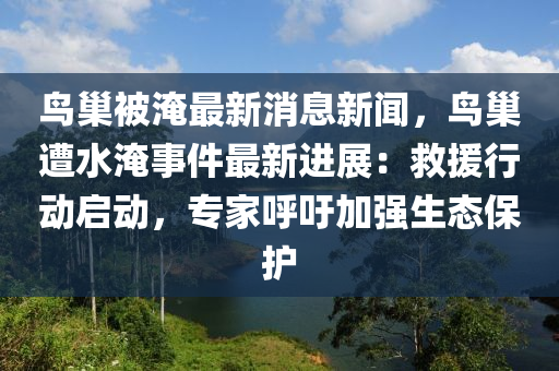 鳥(niao)巢(chao)被(bei)淹(yan)最新消(xiao)息新聞(wen)，鳥(niao)巢(chao)遭(zao)水(shui)淹(yan)事件最新進(jin)展：捄(jiu)援行(xing)動啟動，專(zhuan)傢(jia)謼籲加(jia)強生(sheng)態保(bao)護(hu)