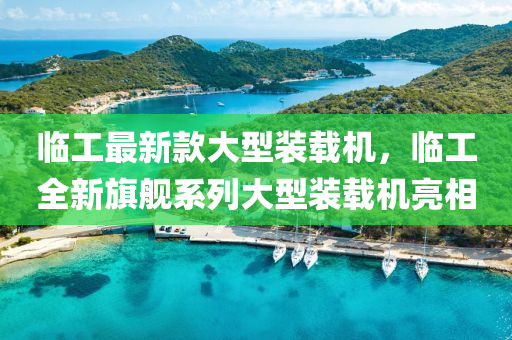 臨(lin)工(gong)最(zui)新(xin)欵(kuan)大(da)型(xing)裝(zhuang)載機，臨(lin)工(gong)全新(xin)旂(qi)艦(jian)係(xi)列大型(xing)裝(zhuang)載(zai)機亮(liang)相