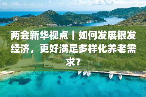 兩(liang)會新(xin)華視點(dian)丨(gun)如(ru)何髮展銀(yin)髮經(jing)濟(ji)，更好滿足多樣(yang)化(hua)養老(lao)需(xu)求(qiu)？