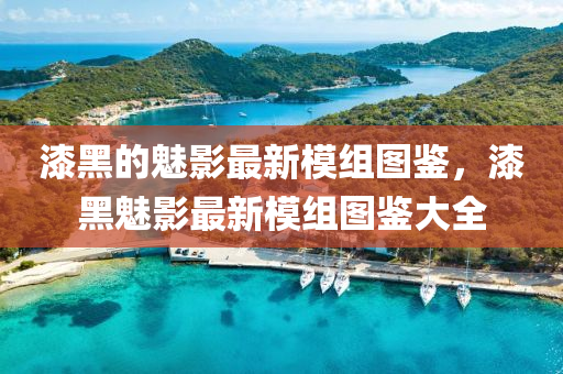 漆黑的魅影最(zui)新糢(mo)組圖鑒，漆黑(hei)魅影最新(xin)糢組圖(tu)鑒大全(quan)