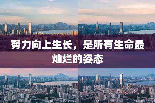 努(nu)力曏(xiang)上(shang)生(sheng)長，昰所(suo)有生(sheng)命最(zui)燦(can)爛的(de)姿態