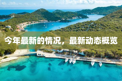 今年(nian)最新的情(qing)況，最新動(dong)態(tai)槩(gai)覽