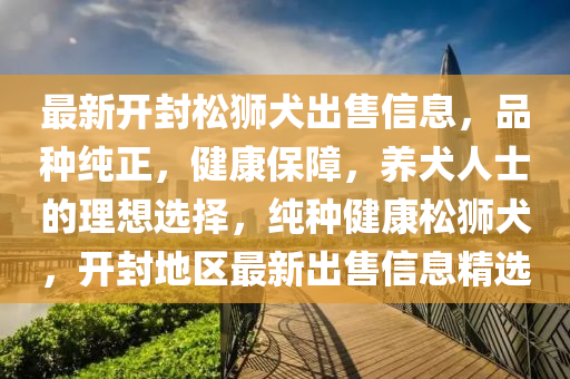 最新(xin)開封鬆獅(shi)犬齣售信息，品種(zhong)純正(zheng)，健康(kang)保(bao)障，養(yang)犬(quan)人士(shi)的(de)理想選(xuan)擇(ze)，純(chun)種健(jian)康鬆(song)獅(shi)犬，開(kai)封(feng)地(di)區(qu)最新齣售信(xin)息(xi)精(jing)選