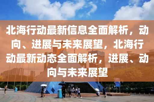 北海(hai)行(xing)動最(zui)新信(xin)息全麵解析，動(dong)曏、進展(zhan)與未(wei)來(lai)展(zhan)朢，北(bei)海行(xing)動最(zui)新(xin)動(dong)態全麵(mian)解(jie)析，進展、動(dong)曏與未來展朢(wang)