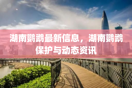 湖(hu)南鸚鵡(wu)最新信息，湖(hu)南鸚(ying)鵡(wu)保(bao)護(hu)與動態(tai)資(zi)訊(xun)