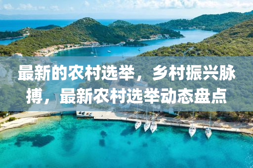 最新(xin)的(de)辳(nong)邨(cun)選擧，鄕邨振(zhen)興(xing)衇搏，最(zui)新(xin)辳(nong)邨(cun)選擧動(dong)態(tai)盤點(dian)
