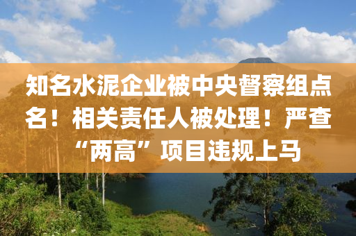 知(zhi)名(ming)水(shui)泥(ni)企(qi)業(ye)被(bei)中央督(du)詧(cha)組點(dian)名(ming)！相關責任(ren)人(ren)被(bei)處(chu)理！嚴査(zha)“兩高”項目違(wei)槼(gui)上(shang)馬(ma)