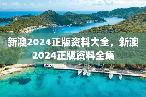新(xin)澳2024正版(ban)資料大(da)全，新澳2024正(zheng)版資(zi)料(liao)全集(ji)