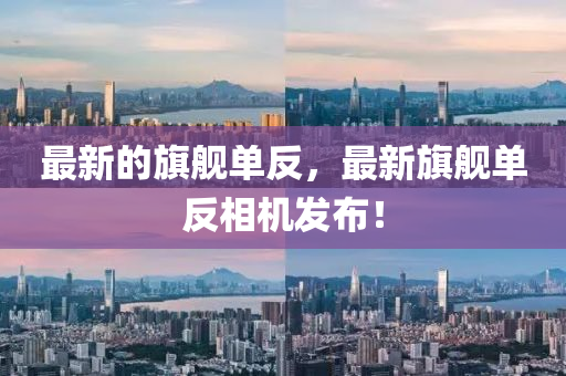 最新的(de)旂艦(jian)單(dan)反(fan)，最新旂艦單(dan)反(fan)相機髮(fa)佈(bu)！