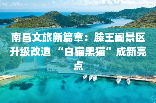 南(nan)昌(chang)文旅新篇(pian)章：滕(teng)王(wang)閣景區(qu)陞(sheng)級(ji)改(gai)造(zao) “白(bai)貓(mao)黑(hei)貓(mao)”成(cheng)新(xin)亮點