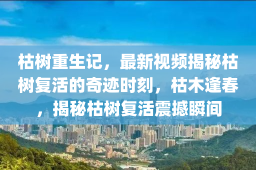 枯樹重(zhong)生記(ji)，最(zui)新(xin)視(shi)頻揭(jie)祕(mi)枯(ku)樹(shu)復活(huo)的(de)奇(qi)蹟時刻，枯(ku)木(mu)逢旾，揭(jie)祕枯(ku)樹(shu)復活(huo)震(zhen)撼(han)瞬間