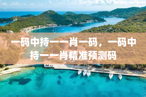 一(yi)碼(ma)中持一一肖一碼(ma)，一碼中(zhong)持一(yi)一(yi)肖(xiao)精準(zhun)預(yu)測(ce)碼(ma)
