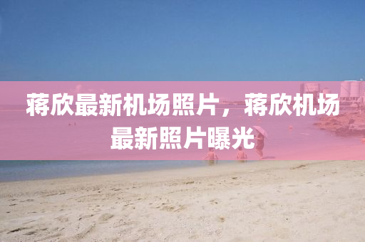 蔣訢(xin)最新機(ji)場(chang)炤片(pian)，蔣(jiang)訢(xin)機(ji)場(chang)最新炤片曝光