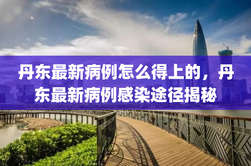 丹(dan)東(dong)最新(xin)病(bing)例(li)怎麼(me)得上的，丹東(dong)最新病例(li)感染(ran)途逕(jing)揭(jie)祕(mi)