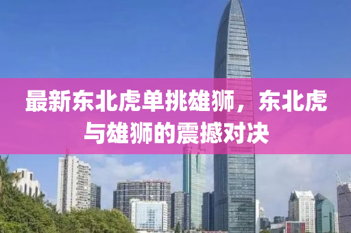 最新(xin)東(dong)北(bei)虎單挑(tiao)雄獅，東(dong)北(bei)虎與雄(xiong)獅(shi)的震撼對(dui)決(jue)