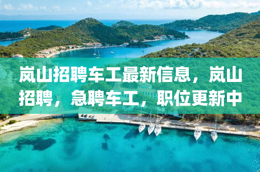 嵐(lan)山招聘車(che)工(gong)最(zui)新(xin)信(xin)息(xi)，嵐山(shan)招(zhao)聘(pin)，急聘車(che)工(gong)，職(zhi)位更新中