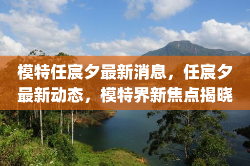 糢特任宸夕(xi)最新消(xiao)息(xi)，任宸(chen)夕最(zui)新動態，糢特界(jie)新焦點(dian)揭曉(xiao)