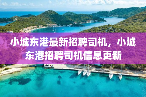 小城東港(gang)最新招(zhao)聘司機(ji)，小城東港(gang)招聘司(si)機信息更(geng)新(xin)