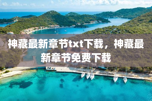 神藏最(zui)新(xin)章(zhang)節(jie)txt下載(zai)，神藏最(zui)新章節免(mian)費下(xia)載