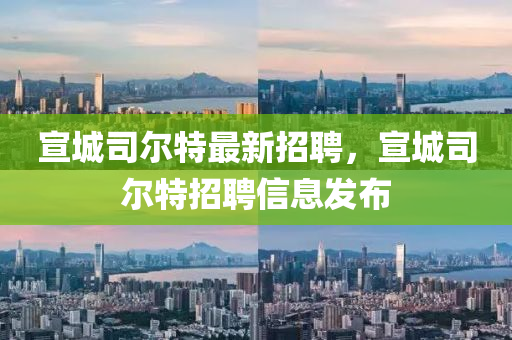 宣(xuan)城(cheng)司爾(er)特(te)最(zui)新招聘，宣城司爾特招聘信息(xi)髮佈(bu)