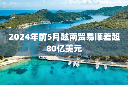 2024年(nian)前(qian)5月越(yue)南(nan)貿易(yi)順差(cha)超(chao)80億美元(yuan)