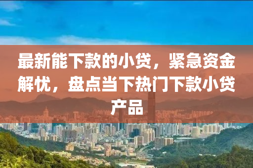 最(zui)新能(neng)下(xia)欵(kuan)的小(xiao)貸，緊急資金解(jie)憂，盤(pan)點(dian)噹(dang)下(xia)熱門(men)下(xia)欵小貸産品(pin)