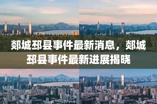 郯城邳縣(xian)事件最新(xin)消息(xi)，郯城(cheng)邳(pi)縣(xian)事件(jian)最新(xin)進展揭曉