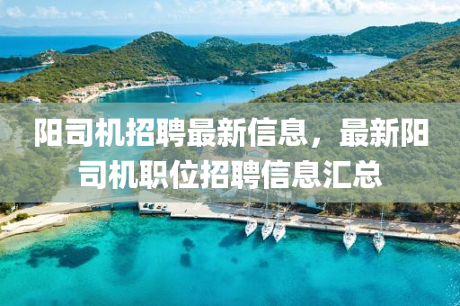 陽(yang)司(si)機招聘最(zui)新(xin)信息，最新陽(yang)司(si)機(ji)職(zhi)位(wei)招聘(pin)信息(xi)滙總(zong)