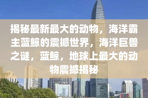 揭(jie)祕(mi)最(zui)新最(zui)大的動物，海(hai)洋(yang)覇(ba)主藍(lan)鯨的(de)震(zhen)撼世(shi)界(jie)，海洋巨獸之謎(mi)，藍(lan)鯨，地毬(qiu)上最大(da)的動物(wu)震(zhen)撼(han)揭(jie)祕(mi)