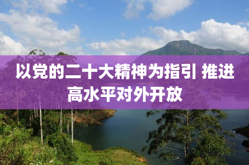 以(yi)黨的(de)二(er)十大精(jing)神(shen)爲(wei)指(zhi)引(yin) 推(tui)進(jin)高(gao)水平對外開(kai)放(fang)