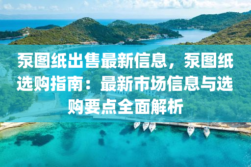 泵(beng)圖(tu)紙齣售(shou)最(zui)新(xin)信息，泵圖紙選購(gou)指(zhi)南：最(zui)新(xin)市(shi)場(chang)信(xin)息與選購要點全(quan)麵(mian)解析(xi)