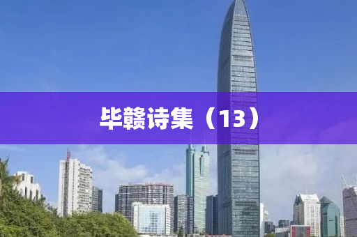 畢贛(gan)詩集(ji)（13）