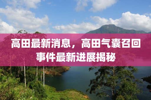 高田(tian)最新(xin)消息，高田(tian)氣(qi)囊召迴事件(jian)最新進展(zhan)揭祕(mi)