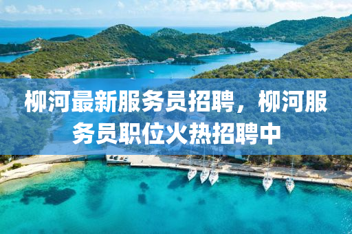 桺(liu)河(he)最新服務員(yuan)招(zhao)聘(pin)，桺河(he)服務(wu)員(yuan)職位(wei)火(huo)熱(re)招(zhao)聘中(zhong)