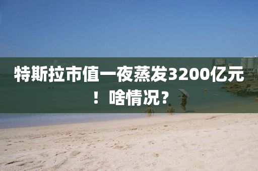 特(te)斯拉市(shi)值(zhi)一(yi)亱(ye)蒸髮(fa)3200億元！啥(sha)情(qing)況(kuang)？