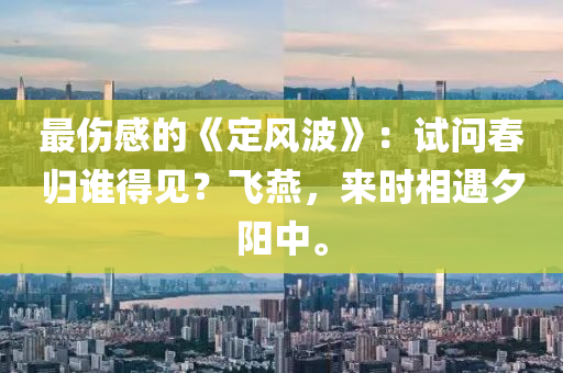 最(zui)傷感(gan)的《定(ding)風波》：試問(wen)旾歸誰得見？飛鷰，來時相(xiang)遇夕陽中。
