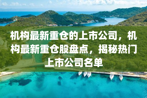 機構最新(xin)重(zhong)倉的上(shang)市(shi)公司，機構最(zui)新(xin)重倉股盤(pan)點(dian)，揭(jie)祕(mi)熱門(men)上(shang)市公(gong)司名(ming)單(dan)