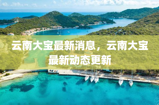 雲南(nan)大寶最新(xin)消息(xi)，雲(yun)南(nan)大寶最(zui)新動態更(geng)新
