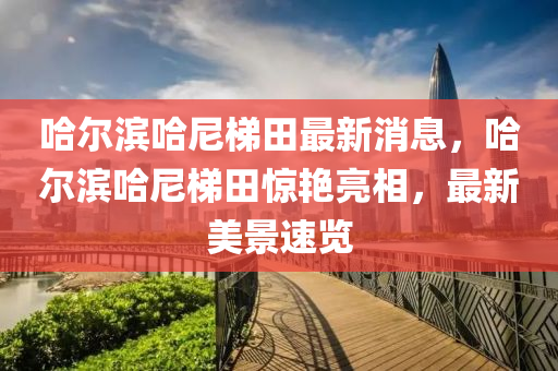 哈(ha)爾濱哈尼梯(ti)田最(zui)新(xin)消(xiao)息，哈(ha)爾濱哈尼(ni)梯田(tian)驚豔(yan)亮(liang)相(xiang)，最新(xin)美景速(su)覽