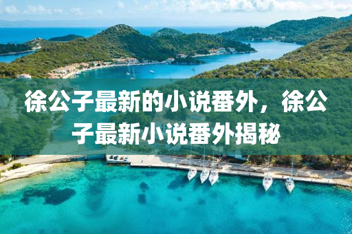 徐(xu)公(gong)子最新的(de)小(xiao)説番外，徐公(gong)子(zi)最新(xin)小説(shuo)番(fan)外(wai)揭(jie)祕(mi)