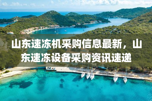 山(shan)東(dong)速凍(dong)機採購信息最(zui)新，山東(dong)速凍(dong)設備(bei)採(cai)購(gou)資訊速遞(di)