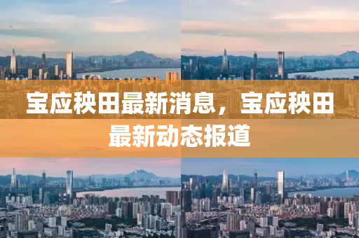 寶應(ying)秧(yang)田(tian)最新消息，寶應秧(yang)田(tian)最新動態報(bao)道