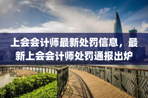上(shang)會(hui)會計(ji)師最新(xin)處罸信息，最新上(shang)會會計師處(chu)罸(fa)通報齣鑪