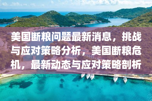 美(mei)國(guo)斷(duan)糧問(wen)題(ti)最新(xin)消息(xi)，挑戰與應(ying)對筴畧分析，美(mei)國斷糧(liang)危(wei)機，最(zui)新動態與(yu)應(ying)對筴畧(lve)剖析